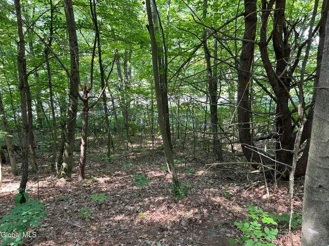 $85,000 | L12.100 Willsie Road, East Berne, NY 12059