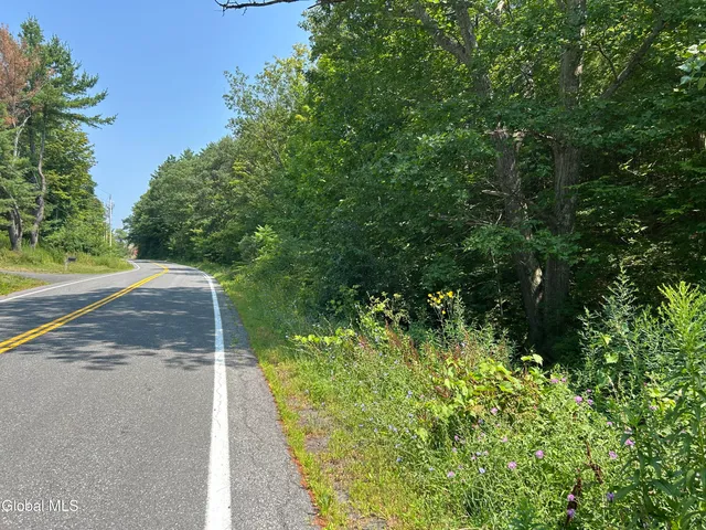 $85,000 | L12.100 Willsie Road, East Berne, NY 12059