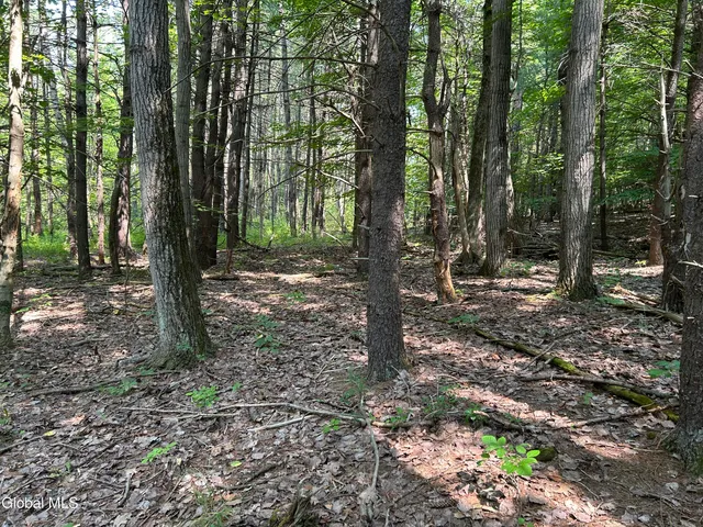 $85,000 | L12.100 Willsie Road, East Berne, NY 12059