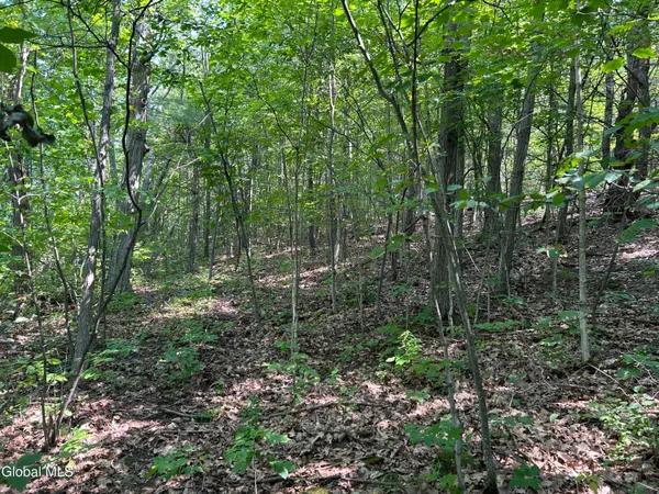 $85,000 | L12.100 Willsie Road, East Berne, NY 12059