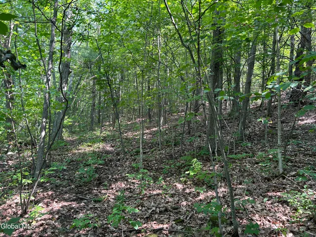 $85,000 | L12.100 Willsie Road, East Berne, NY 12059