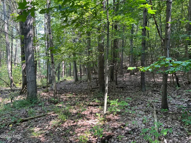 $85,000 | L12.100 Willsie Road, East Berne, NY 12059