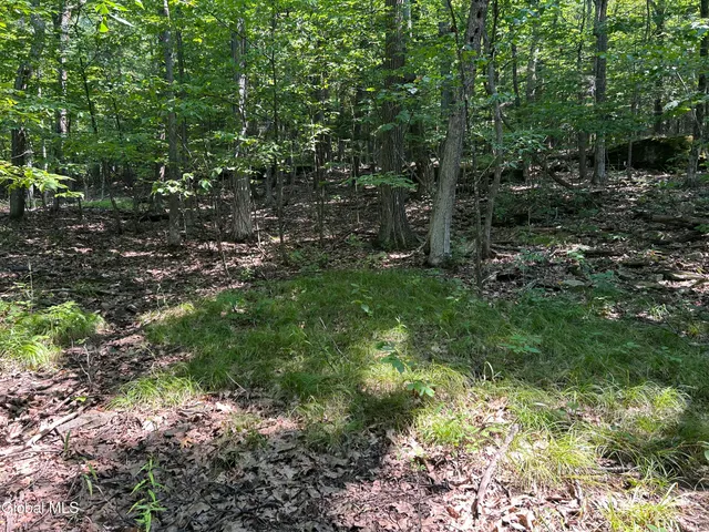 $85,000 | L12.100 Willsie Road, East Berne, NY 12059