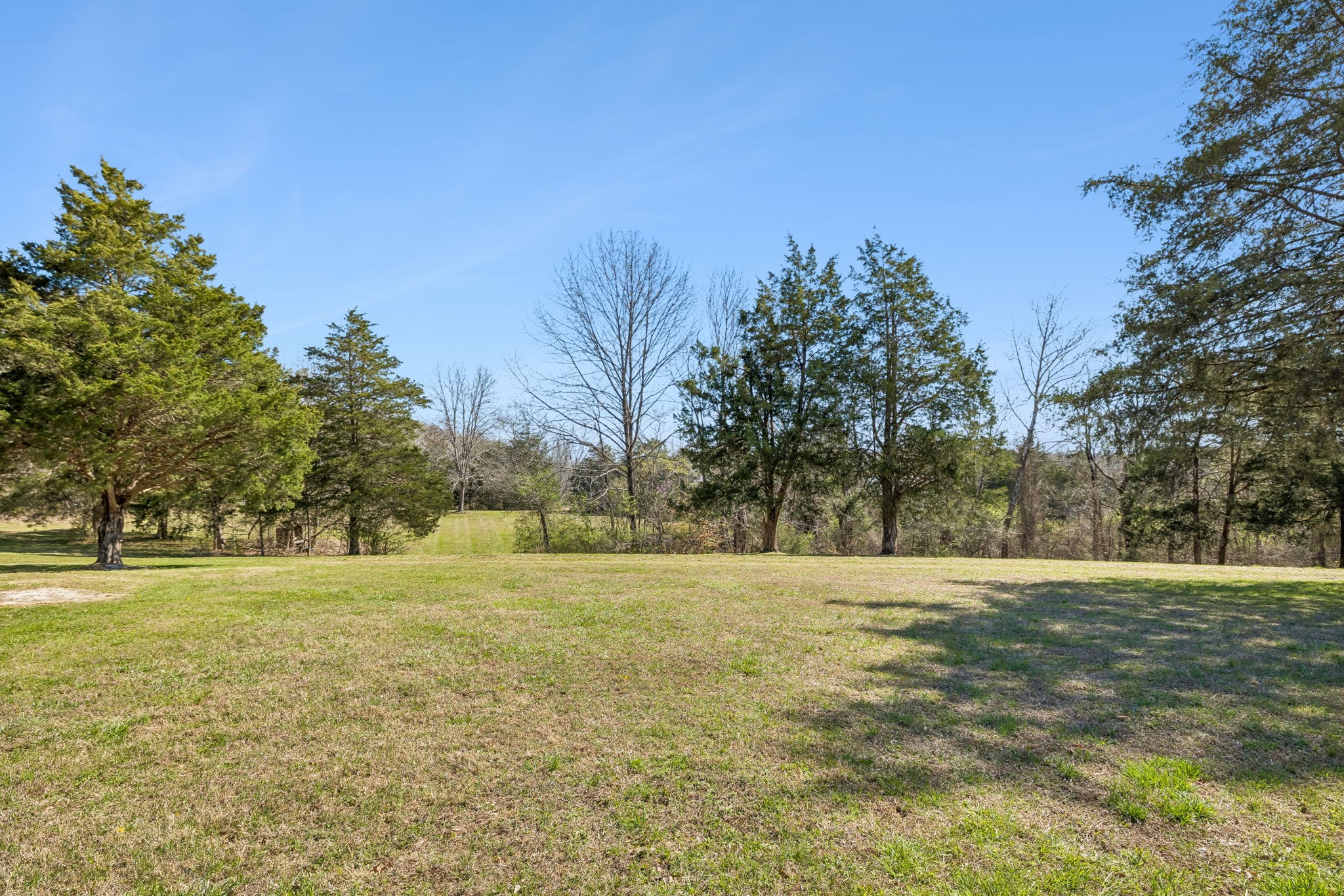 635 Cane Creek Road Hohenwald, TN 38462 - Photo 66 of 99