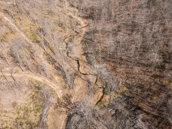 $899,900 | 635 Cane Creek Road, Hohenwald, TN 38462