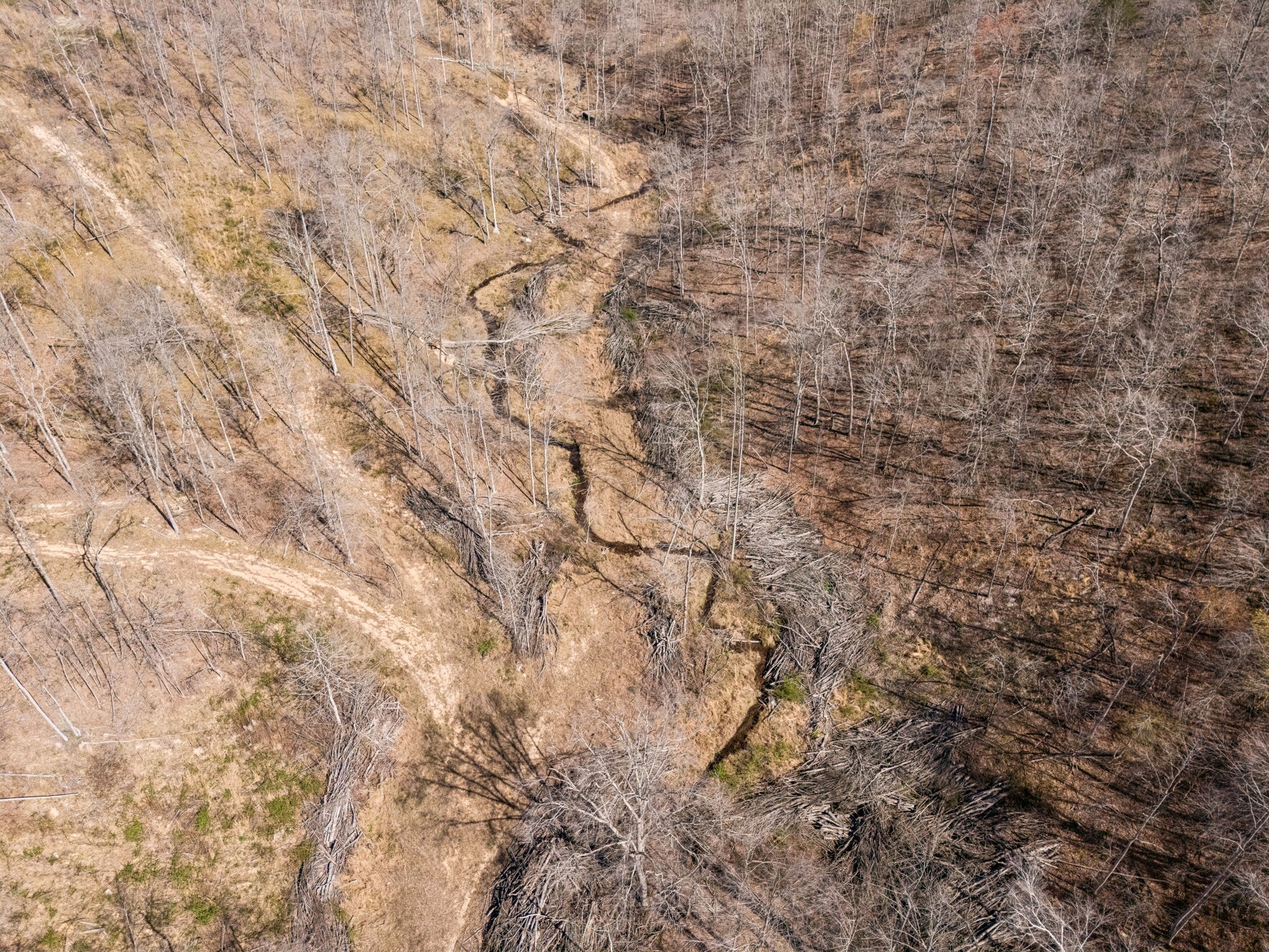 635 Cane Creek Road Hohenwald, TN 38462 - Photo 87 of 99