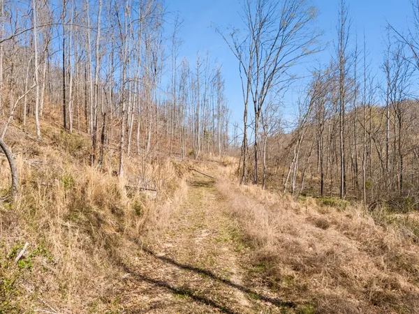$899,900 | 635 Cane Creek Road, Hohenwald, TN 38462