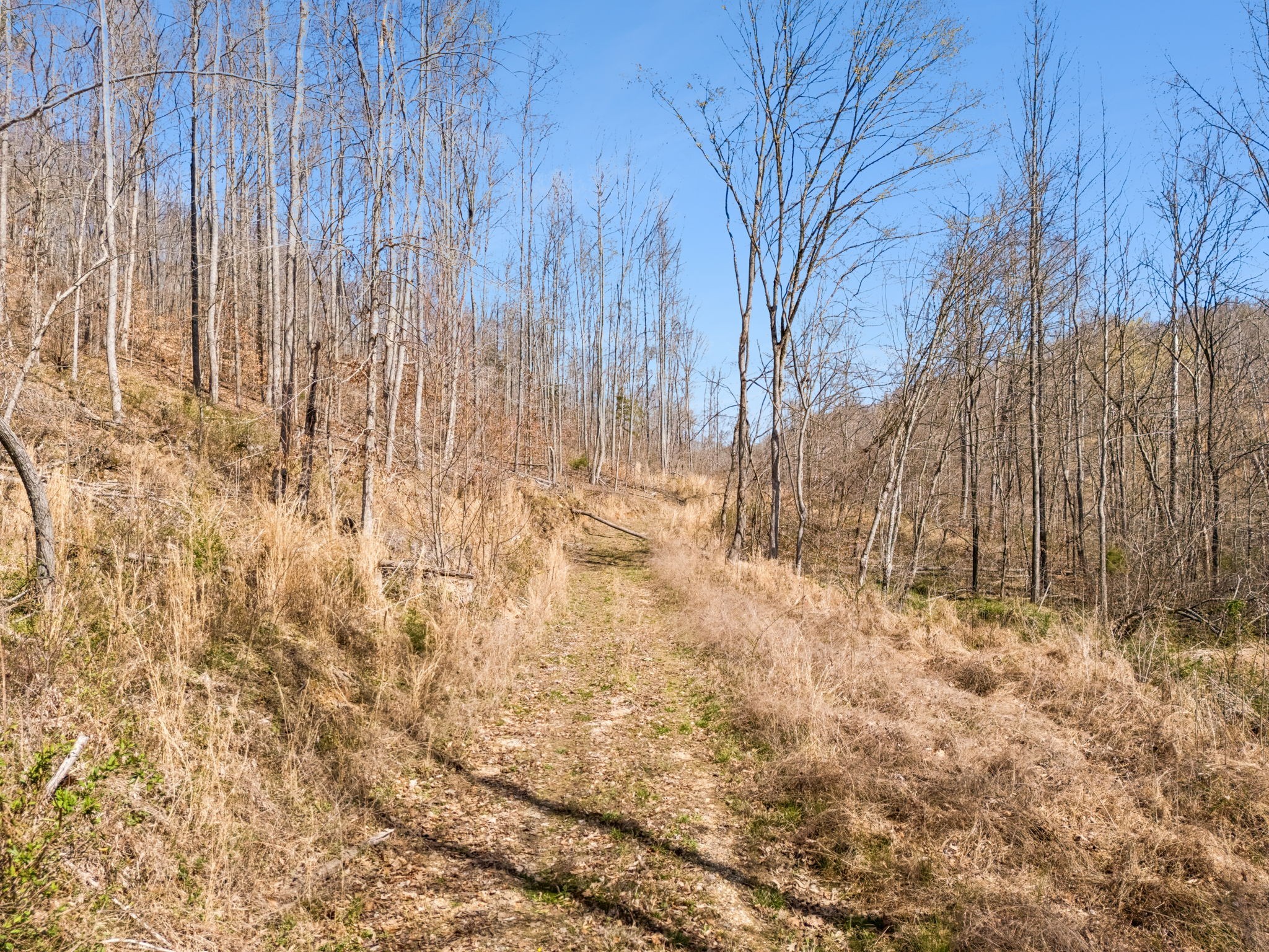 635 Cane Creek Road Hohenwald, TN 38462 - Photo 91 of 99