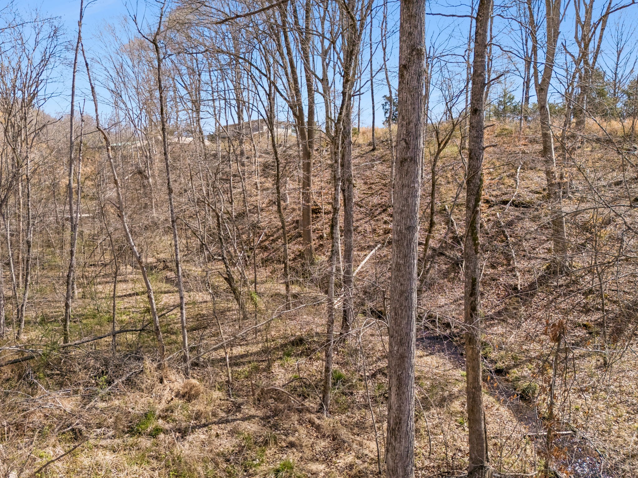 635 Cane Creek Road Hohenwald, TN 38462 - Photo 92 of 99