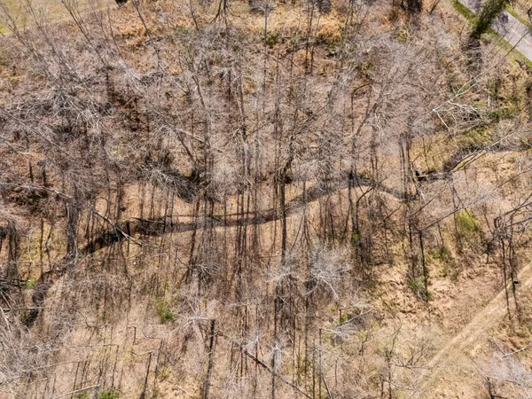 $899,900 | 635 Cane Creek Road, Hohenwald, TN 38462