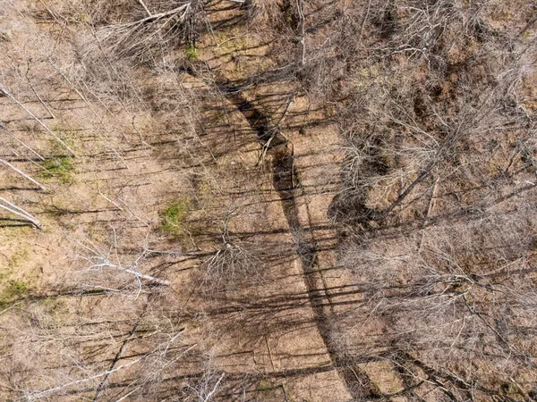 $899,900 | 635 Cane Creek Road, Hohenwald, TN 38462