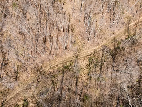 $899,900 | 635 Cane Creek Road, Hohenwald, TN 38462