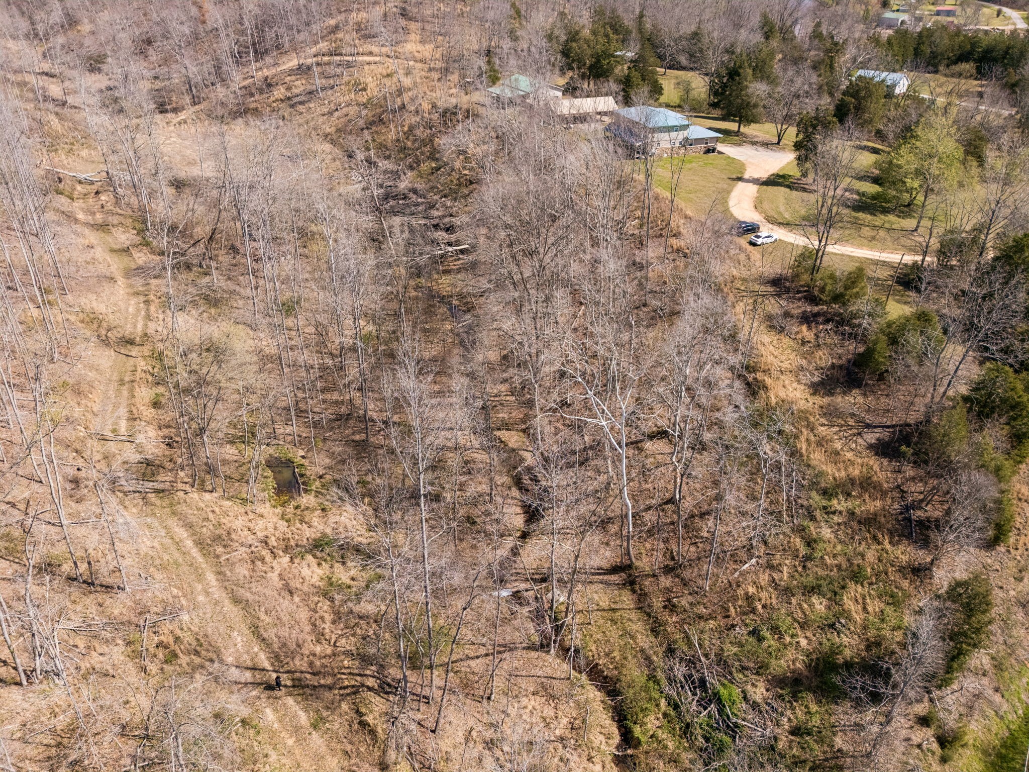 635 Cane Creek Road Hohenwald, TN 38462 - Photo 98 of 99