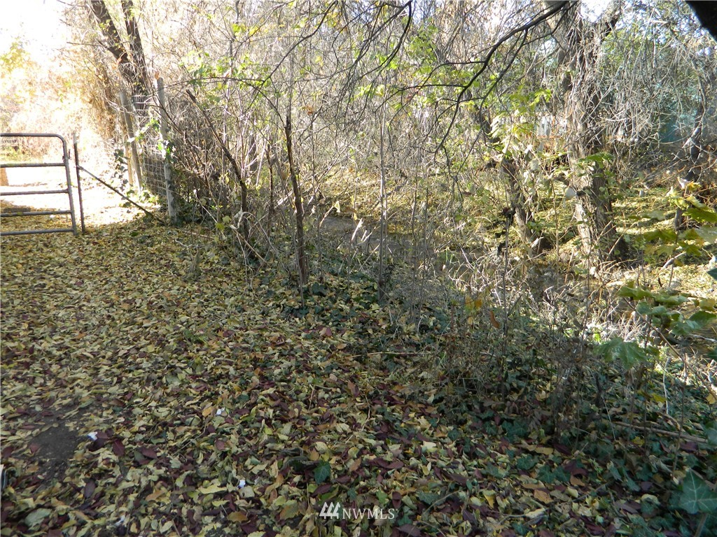 103 Cooper Street Riverside, WA 98849 - Photo 12 of 12 a view of a yard with a tree