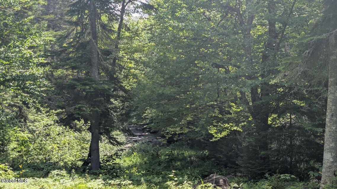 6 7 3 State Route 30 Tupper Lake, NY 12986 - Photo 6 of 13 20251121180411608493000000-o