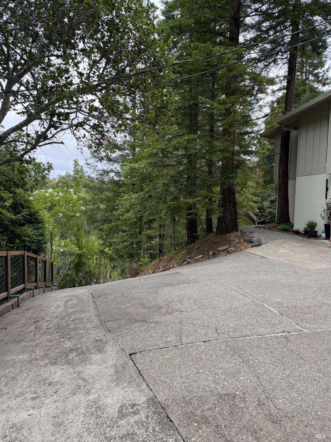 403 Woodland Road Kentfield, CA 94904 - Photo 65 of 65 Driveway down to Woodland Rd.