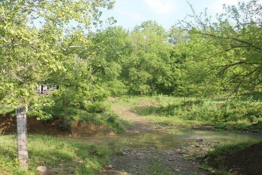1 Long Run Road Brooksville, KY 41004 - Photo 4 of 8 Photo 4