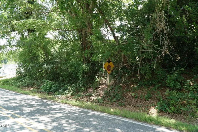 $30,000 | 0 Halifax Road, Louisburg, NC 27549