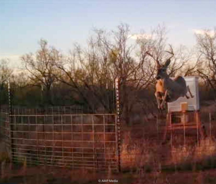 600 St Haskell Tx 79521 Haskell, TX 79521 - Photo 3 of 31 Gallery Image 3