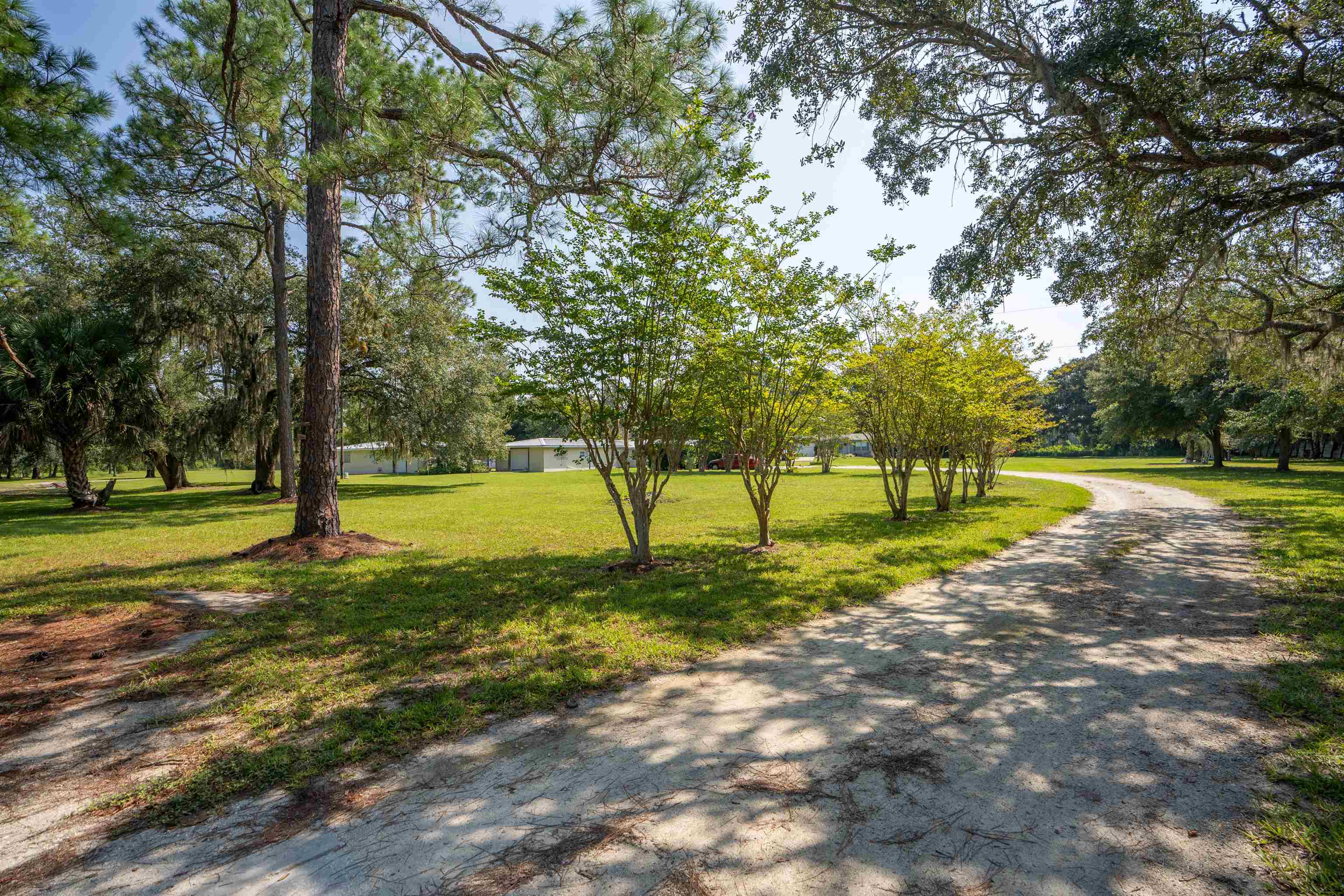 2430 Cabbage Hammock Road St. Augustine, FL 32092 - Photo 15 of 62 Gallery Image 15