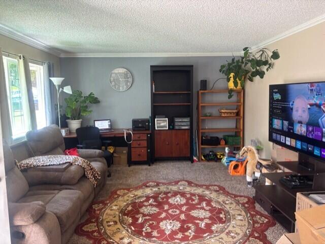 20158 Mapleleaf Street Burney, CA 96013 - Photo 13 of 33 a living room with furniture and a flat screen tv