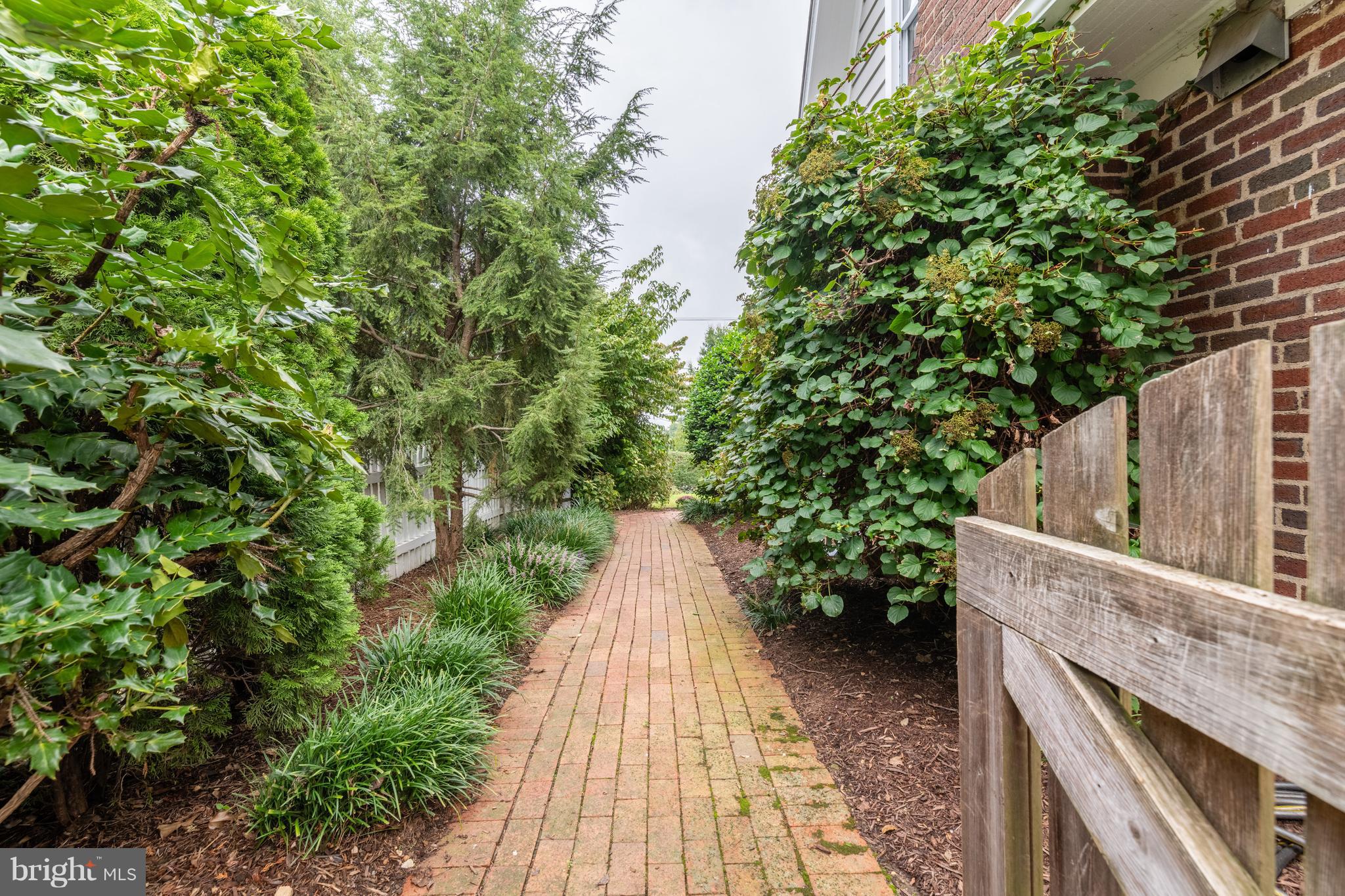 6036 Fort Hunt Road Alexandria, VA 22307 - Photo 43 of 52 Side Path