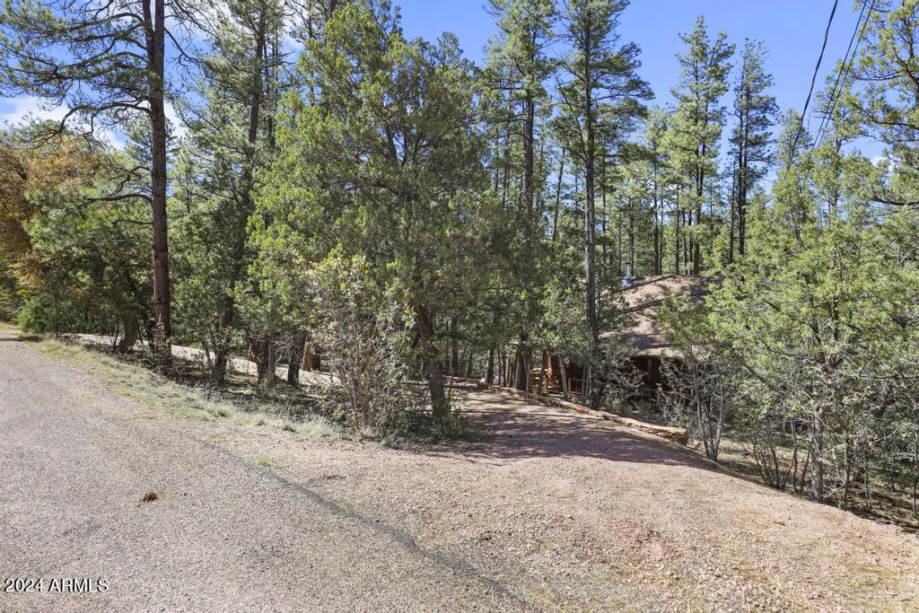 6262 Sharyn Road Pine, AZ 85544 - Photo 18 of 23 1E0A5725 copy