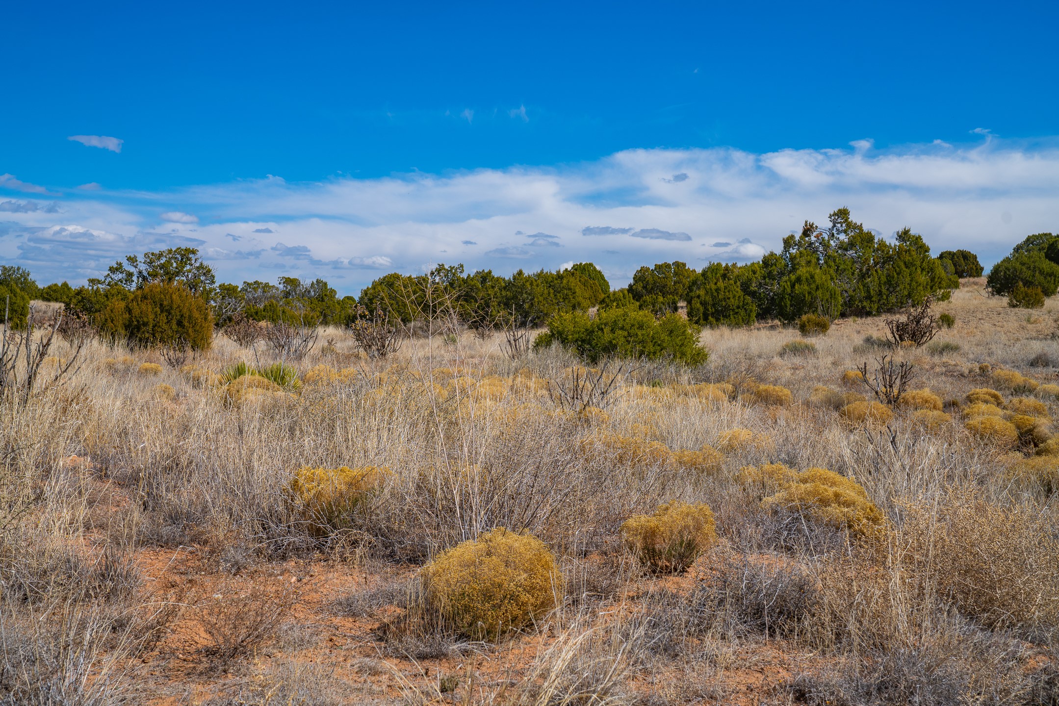 63 Crazy Rabbit Drive Santa Fe, NM 87508 - Photo 19 of 21