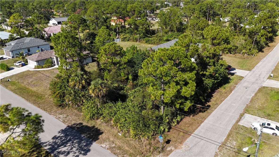 800 West 9th Street Lehigh Acres, FL 33972 - Photo 2 of 14 a view of a garden with plants