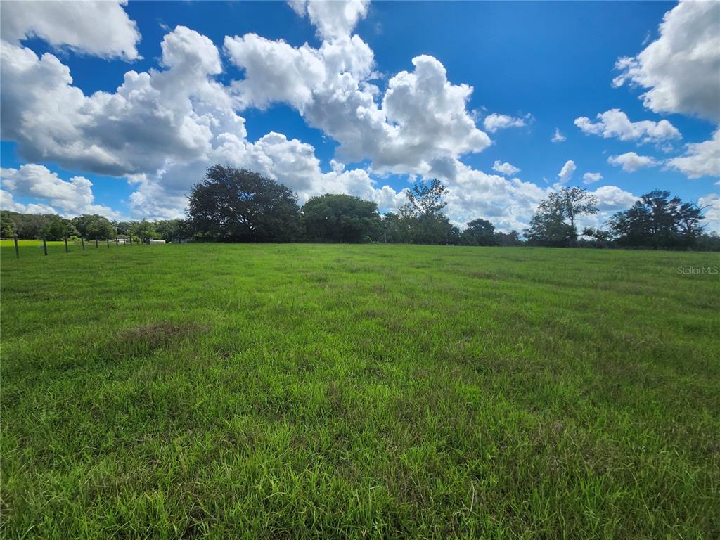 0 Christian Road, Unit LOT 1 Dade City, FL 33523 - Photo 6 of 8