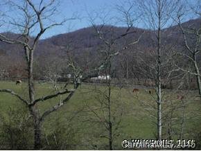 273 Wildbriar Road Fletcher, NC 28732 - Photo 2 of 11 a view of a dry yard