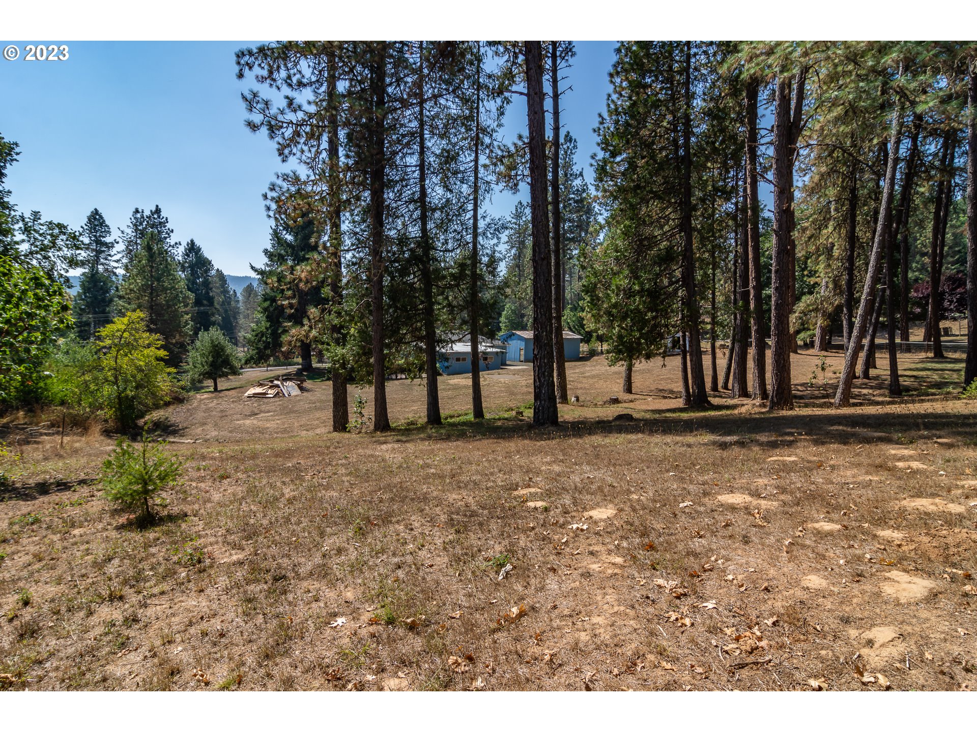 959 Doerner Road Roseburg, OR 97471 - Photo 8 of 40 a view of outdoor space with trees