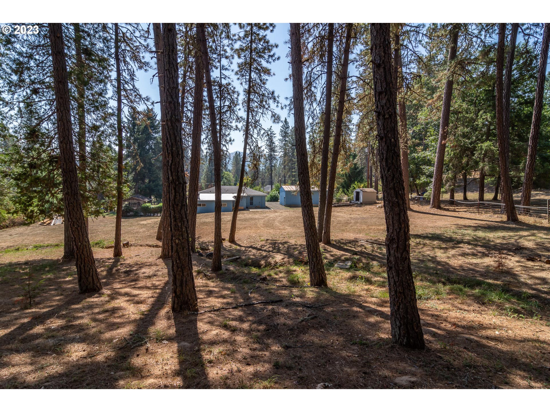 959 Doerner Road Roseburg, OR 97471 - Photo 9 of 40 a view of a backyard of the house