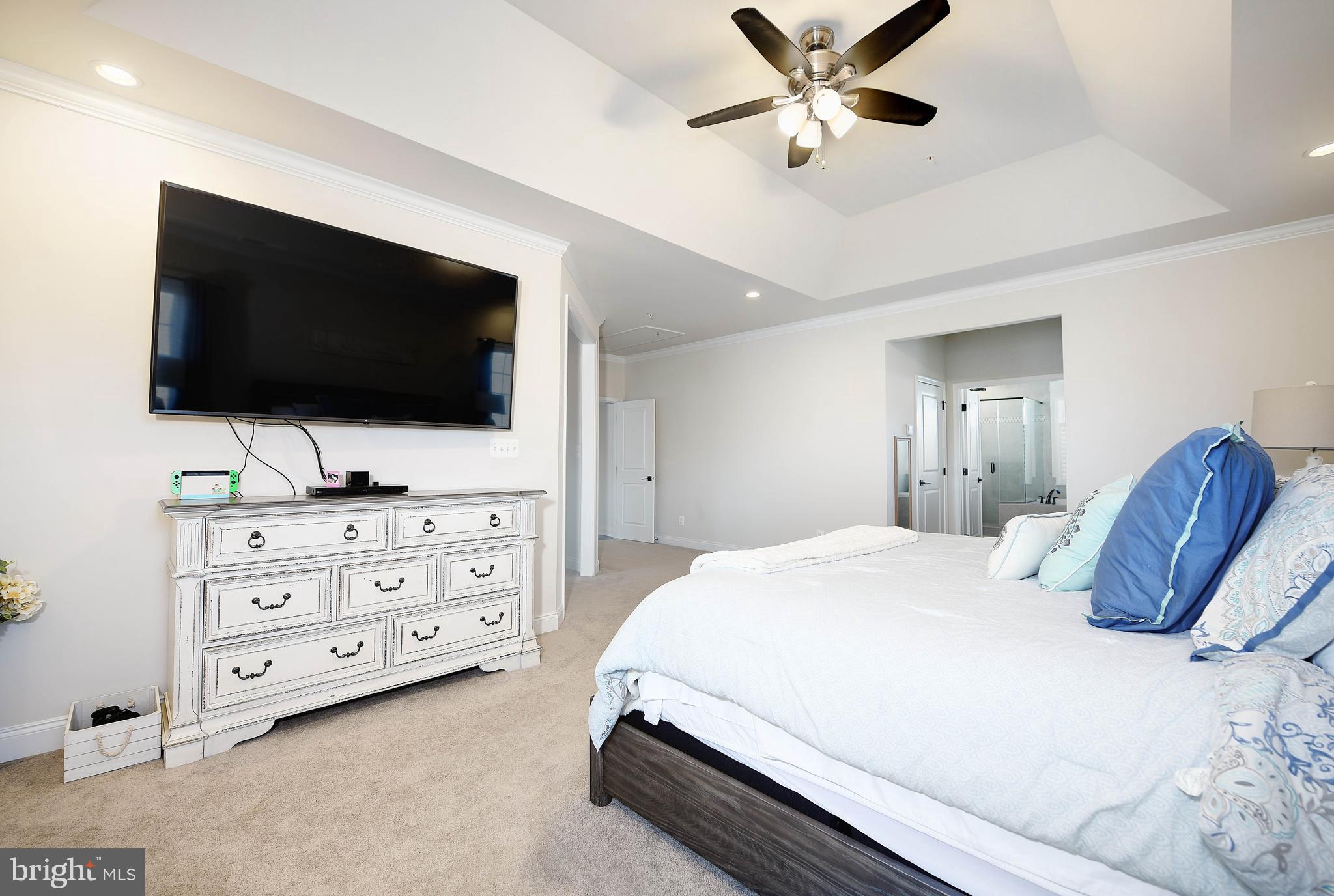 738 Dowers Road Abingdon, MD 21009 - Photo 28 of 50 Primary Bedroom w/ tray ceiling
