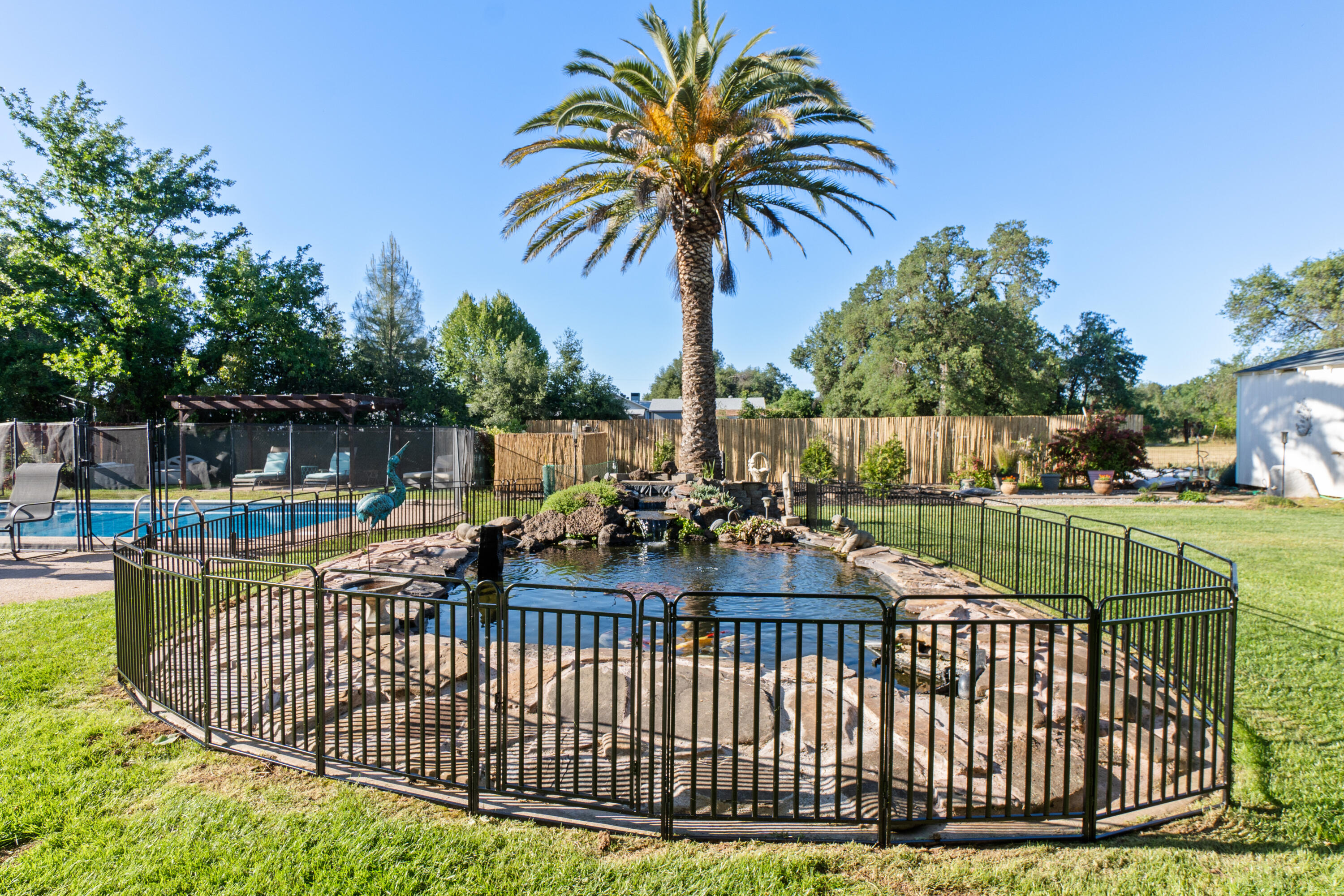19962 Welcome Way Redding, CA 96002 - Photo 59 of 96 Koi pond