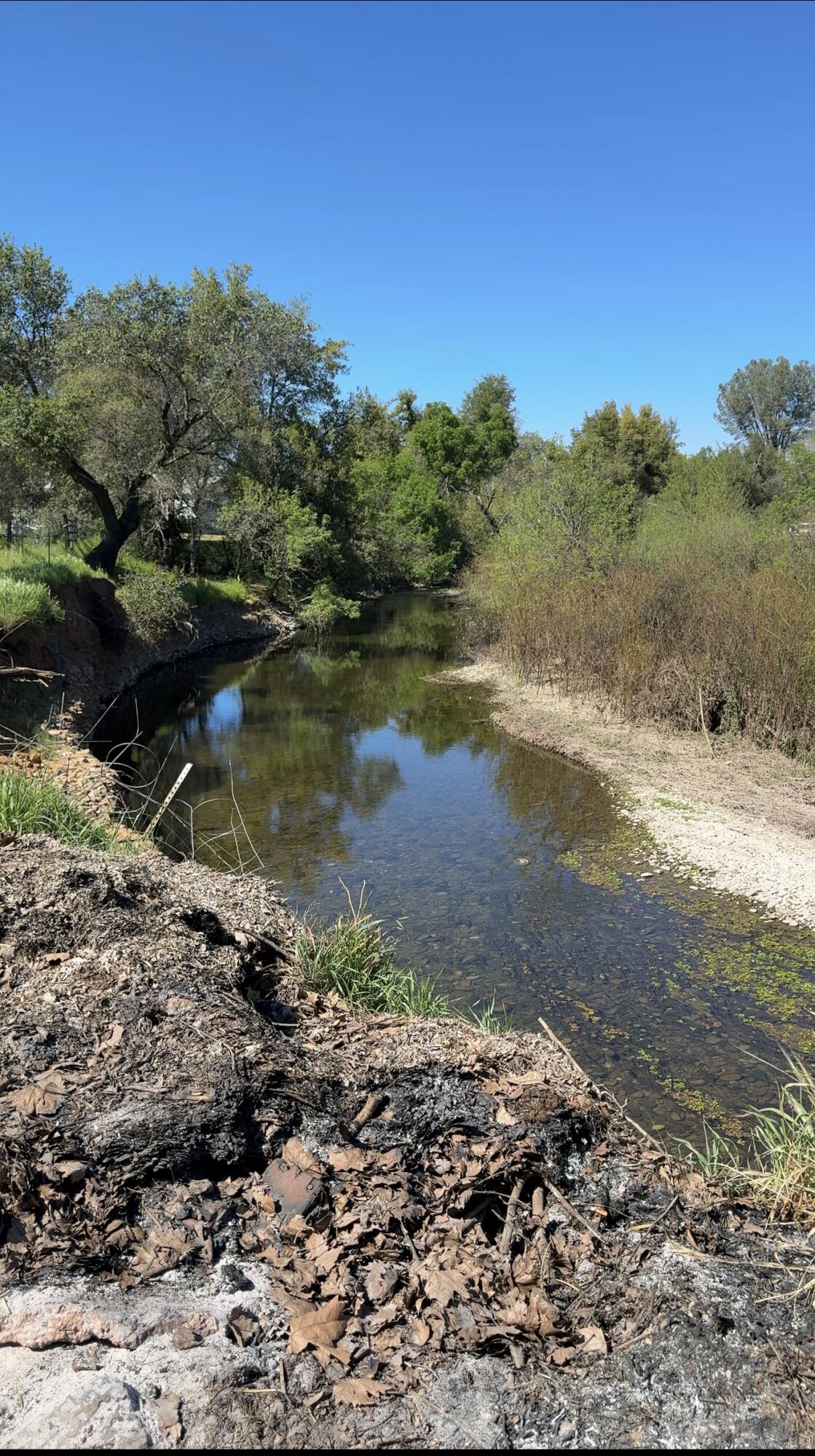 19962 Welcome Way Redding, CA 96002 - Photo 84 of 96 Churn Creek