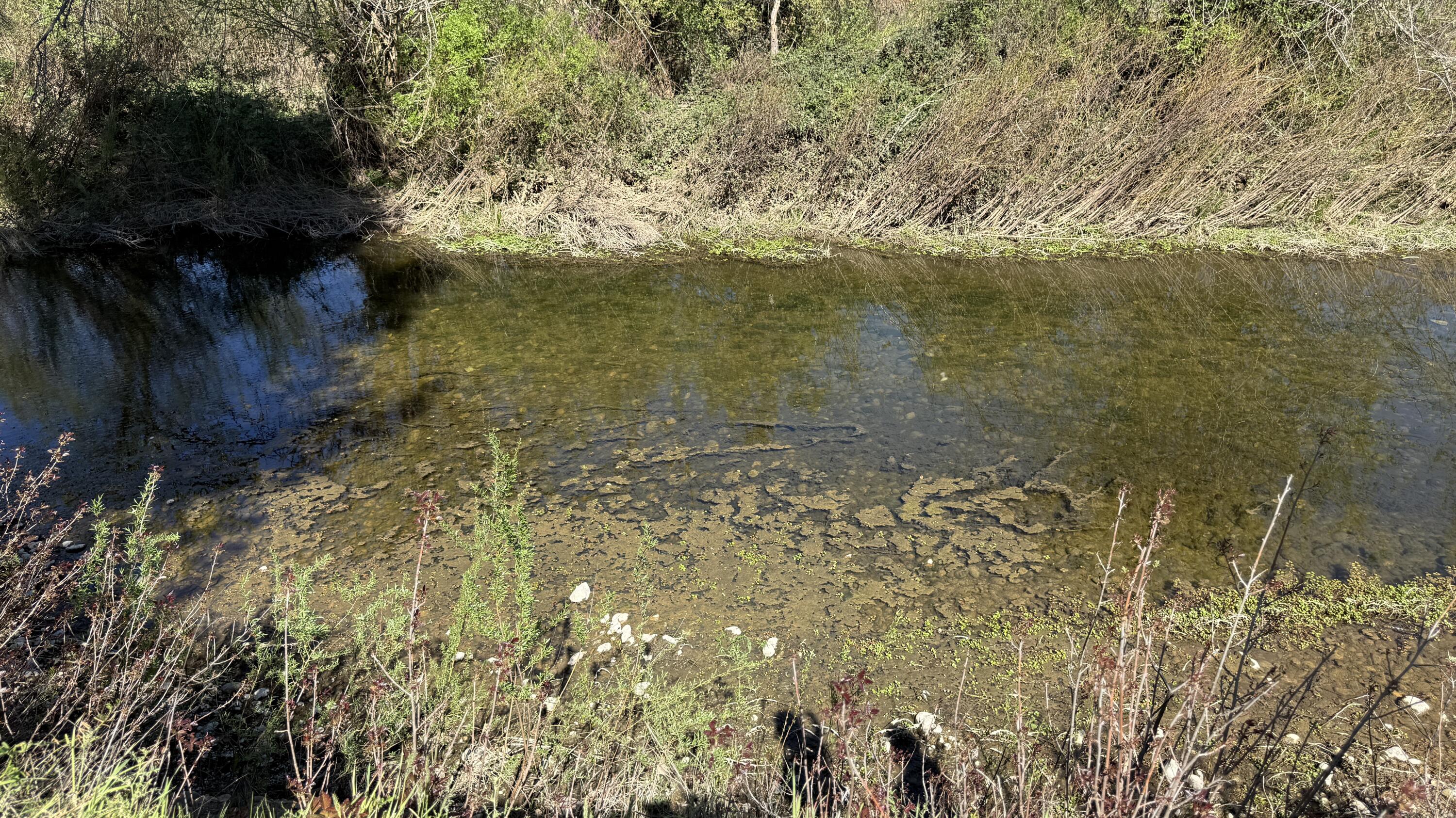 19962 Welcome Way Redding, CA 96002 - Photo 85 of 96 Churn Creek