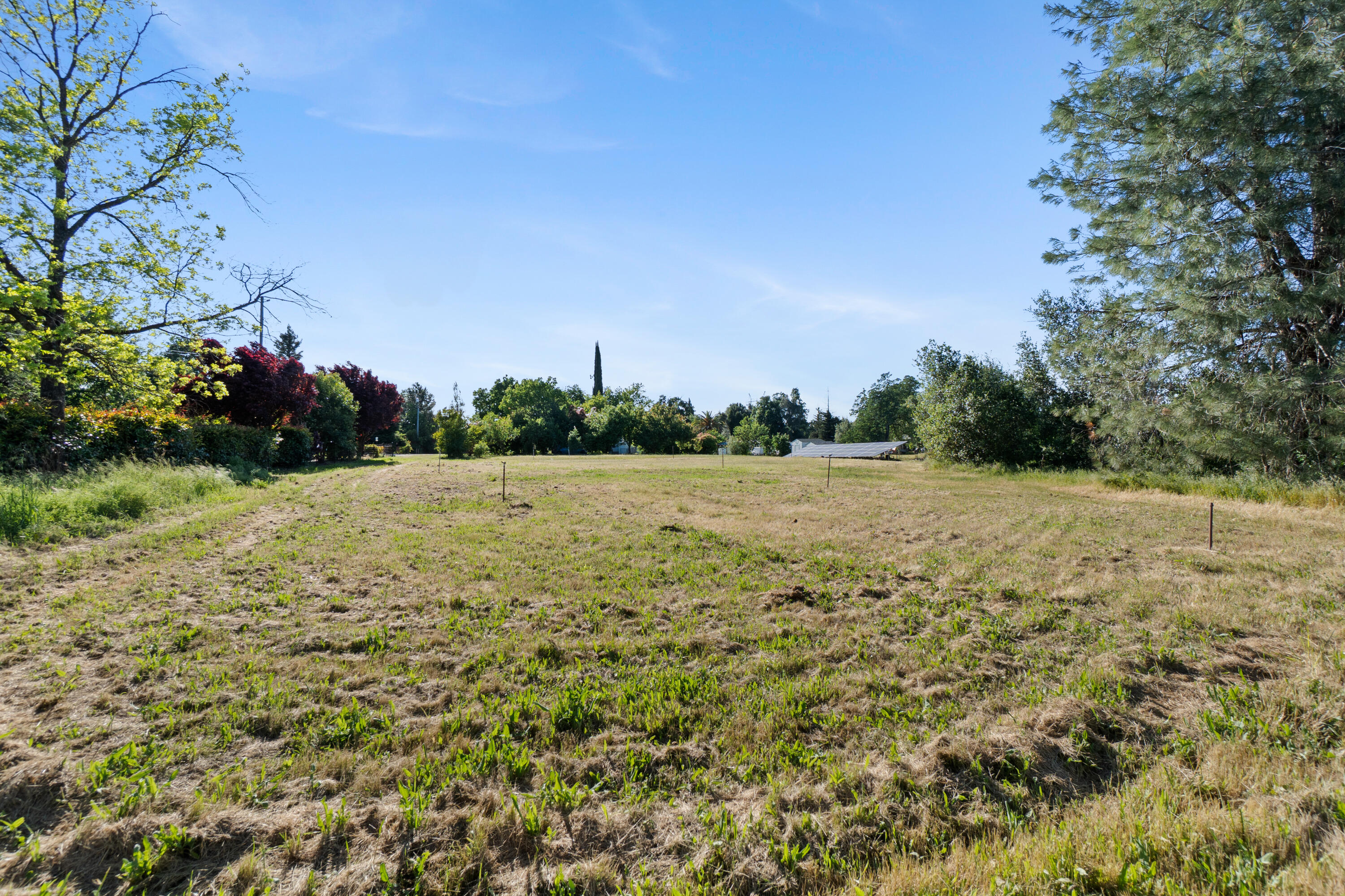 19962 Welcome Way Redding, CA 96002 - Photo 87 of 96 open field
