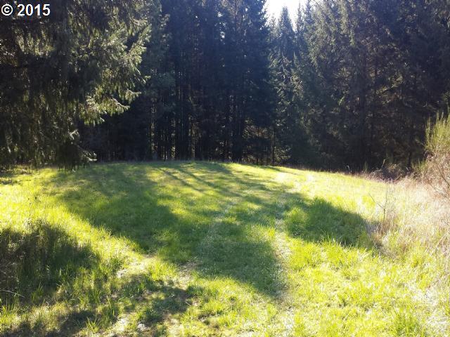 0 Southwest Dundee Road Gaston, OR 97119 - Photo 5 of 9