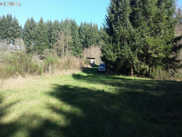 0 Southwest Dundee Road Gaston, OR 97119 - Photo 6 of 9
