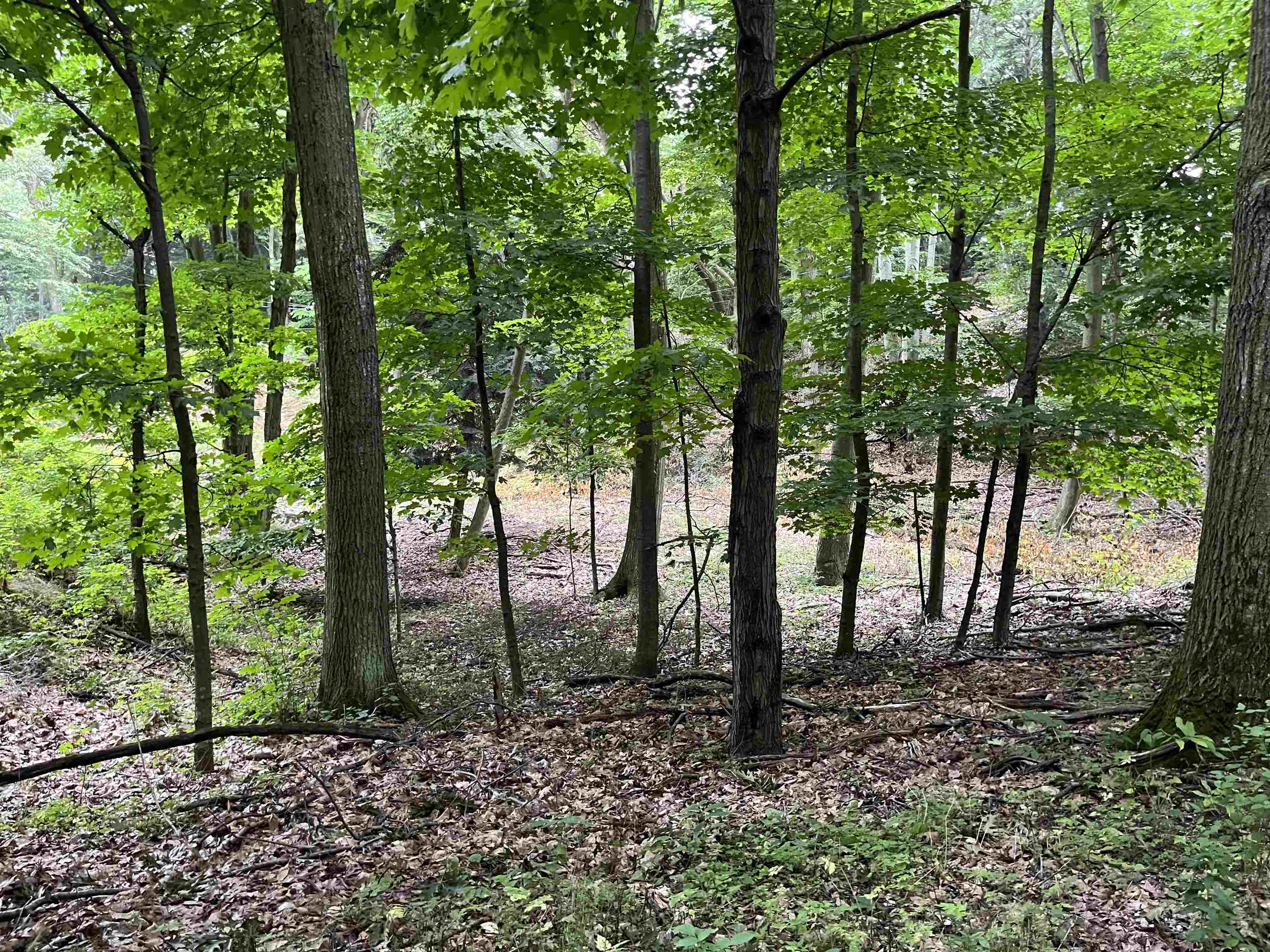 7 Beach Road Frankfort, MI 49635 - Photo 12 of 15