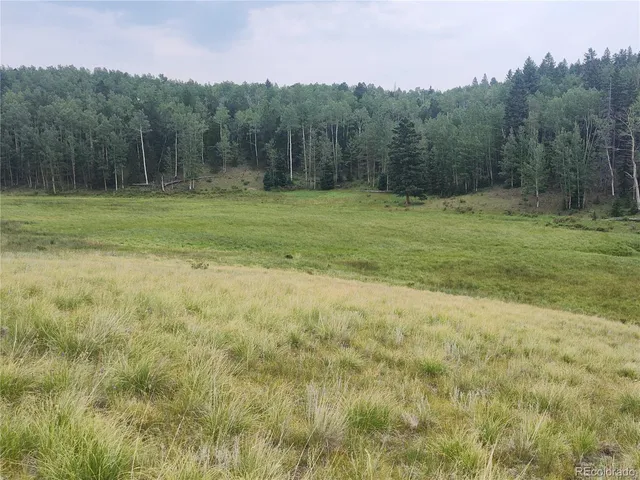 a view of outdoor space with green field and trees in the background