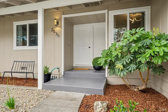 a potted plant sitting in front of a house