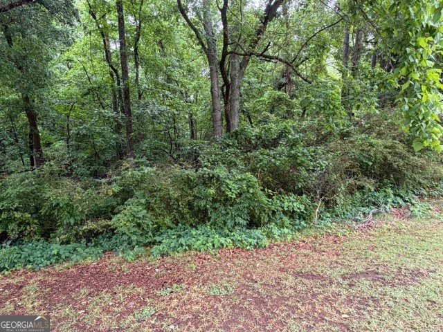 0 Johnson Road Palmetto, GA 30268 - Photo 4 of 12