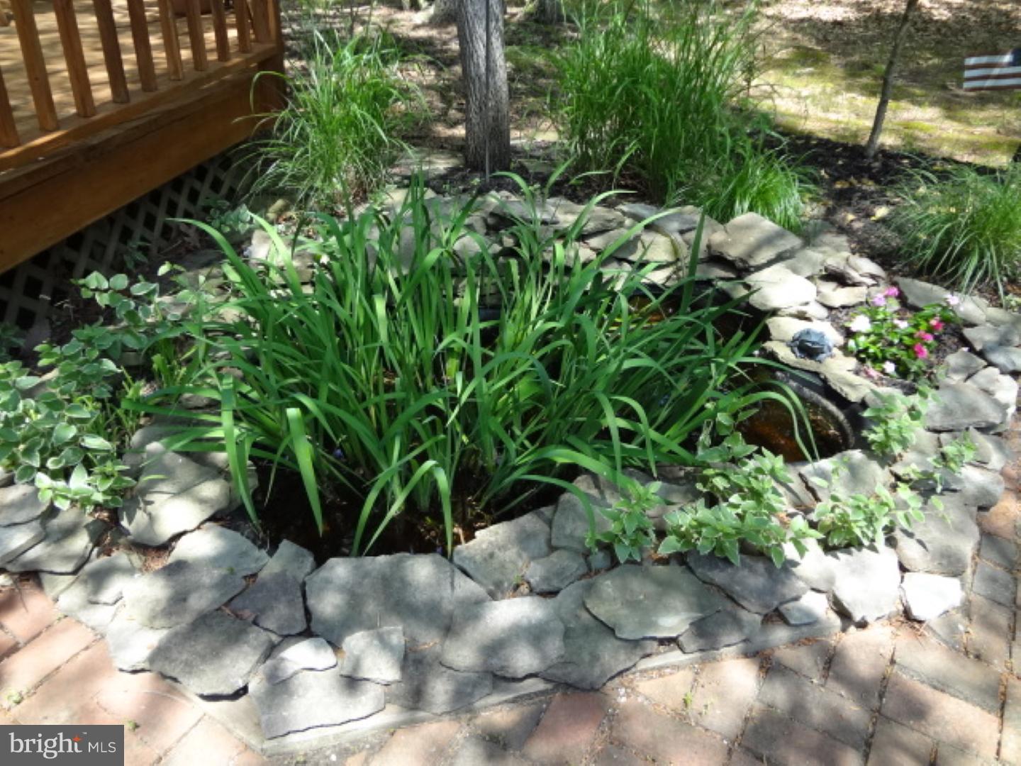 13 Bearhead Road Medford, NJ 08055 - Photo 21 of 24