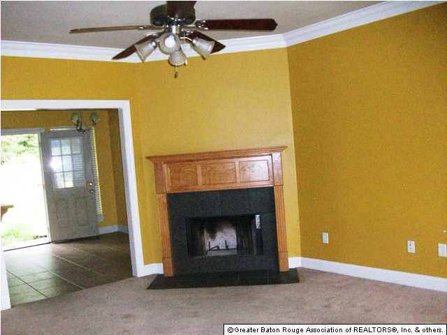 30971 Linder Road Denham Springs, LA 70726 - Photo 4 of 9