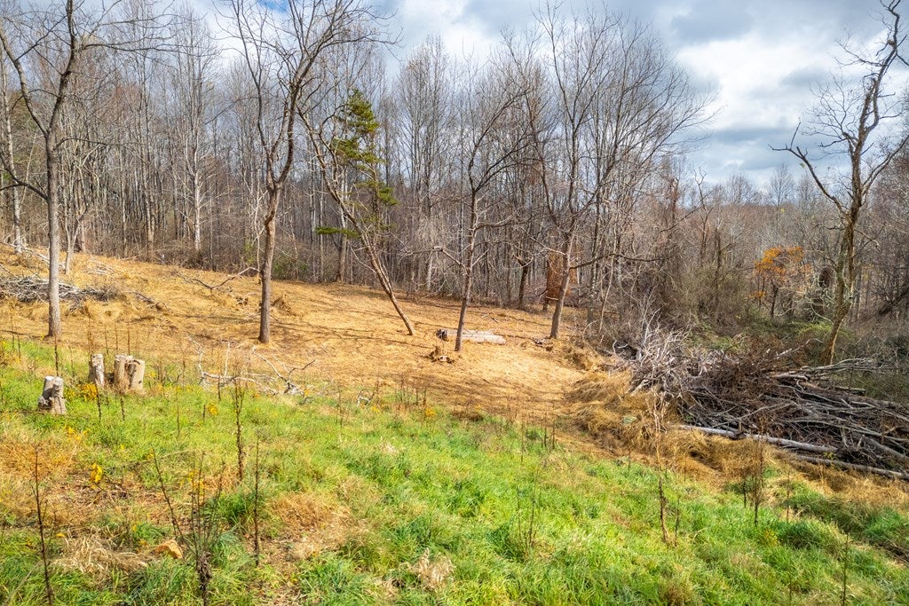 3.8-acre Dogwood Ridge, Unit 2B Fancy Gap, VA 24328 - Photo 18 of 39 Gallery Image 18