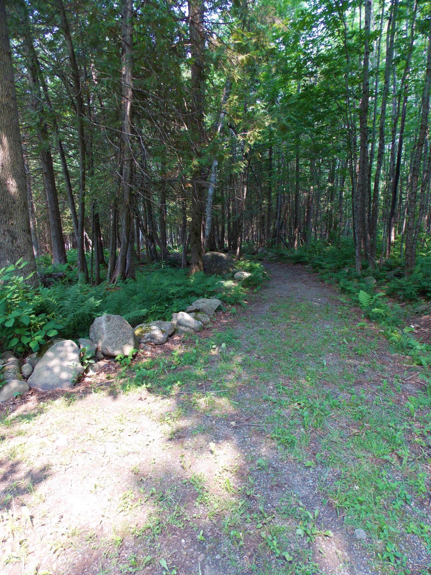 1125 North Road Ripley, ME 04930 - Photo 51 of 56 DSCN2503