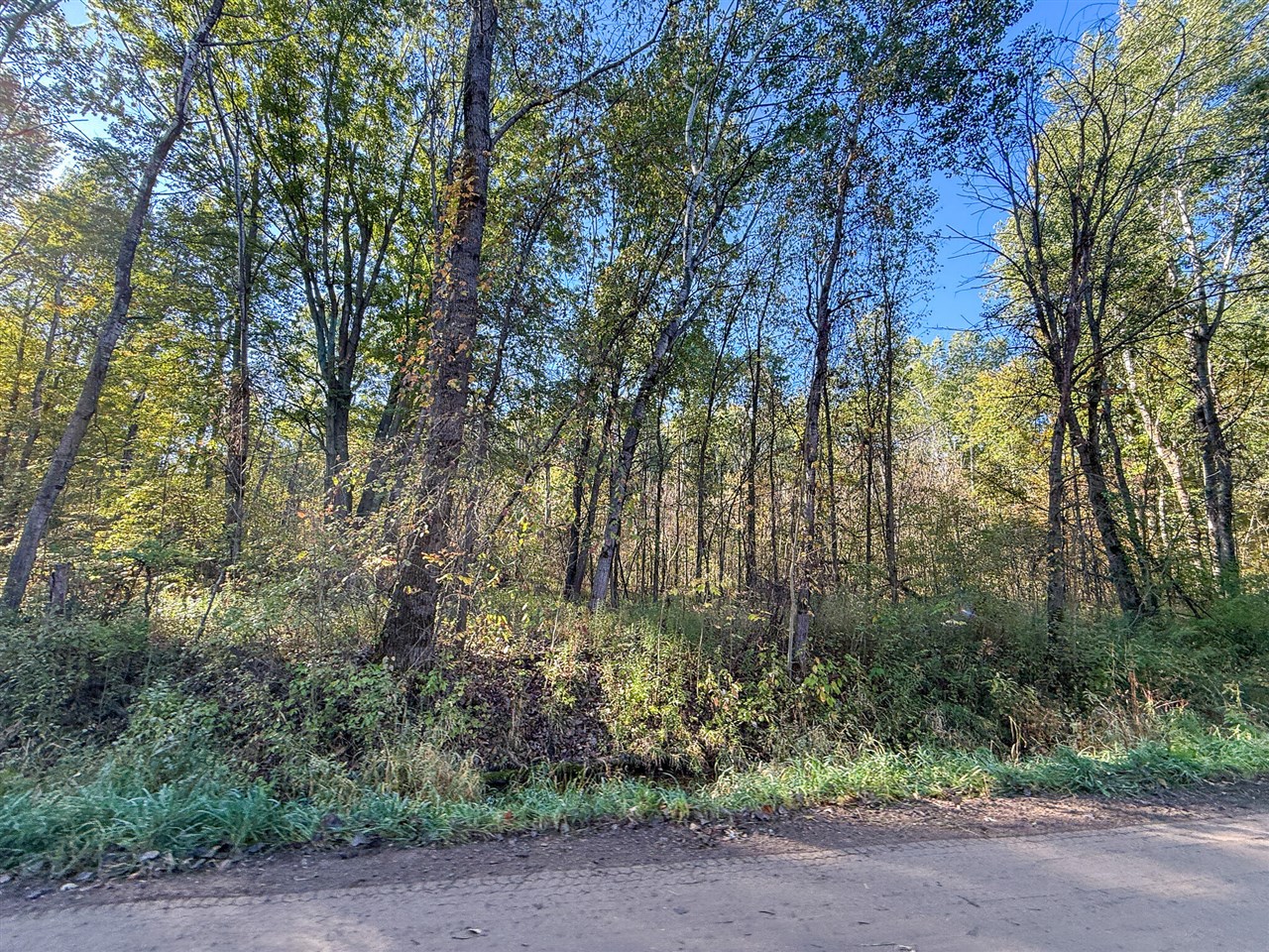 7710 21 Mile Road Sand Lake, MI 49343 - Photo 11 of 13 Gallery Image 11