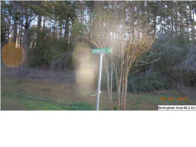 1702 Springhill Drive Sylacauga, AL 35150 - Photo 4 of 27